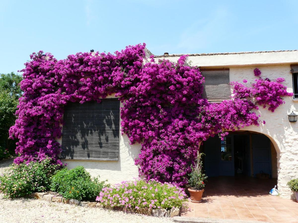 Casa Rural Con Encanto, 4 Hab Con 4 Banos Completos En Suite, Piscina Y Campo Privado Pedreguer Bagian luar foto